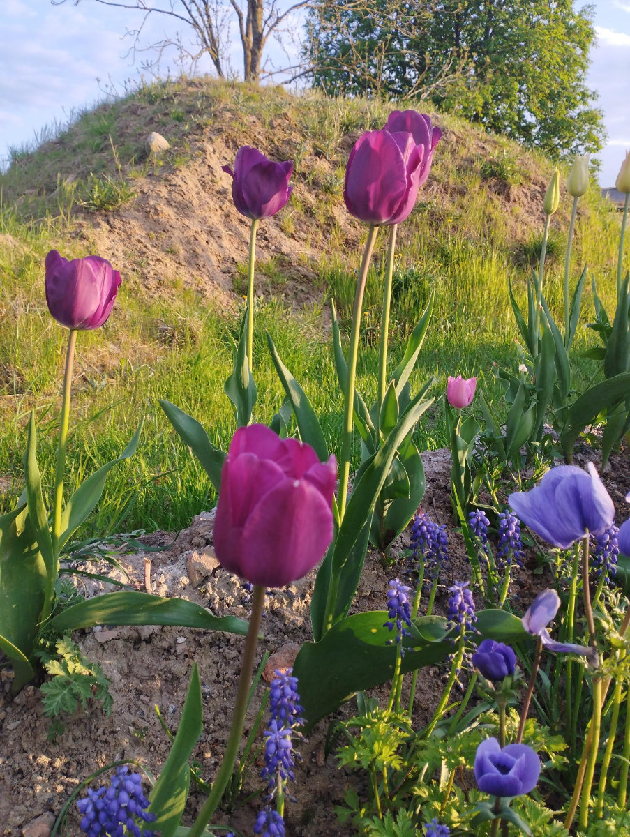 Mai 2023 | Arbeitseinsatz | Rosentheater