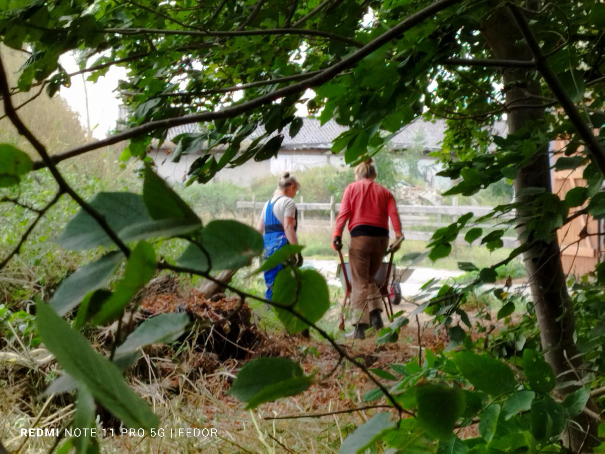 29. Oktober 2023 | Arbeitseinsatz | Zauberschönes Dargibell e.V.