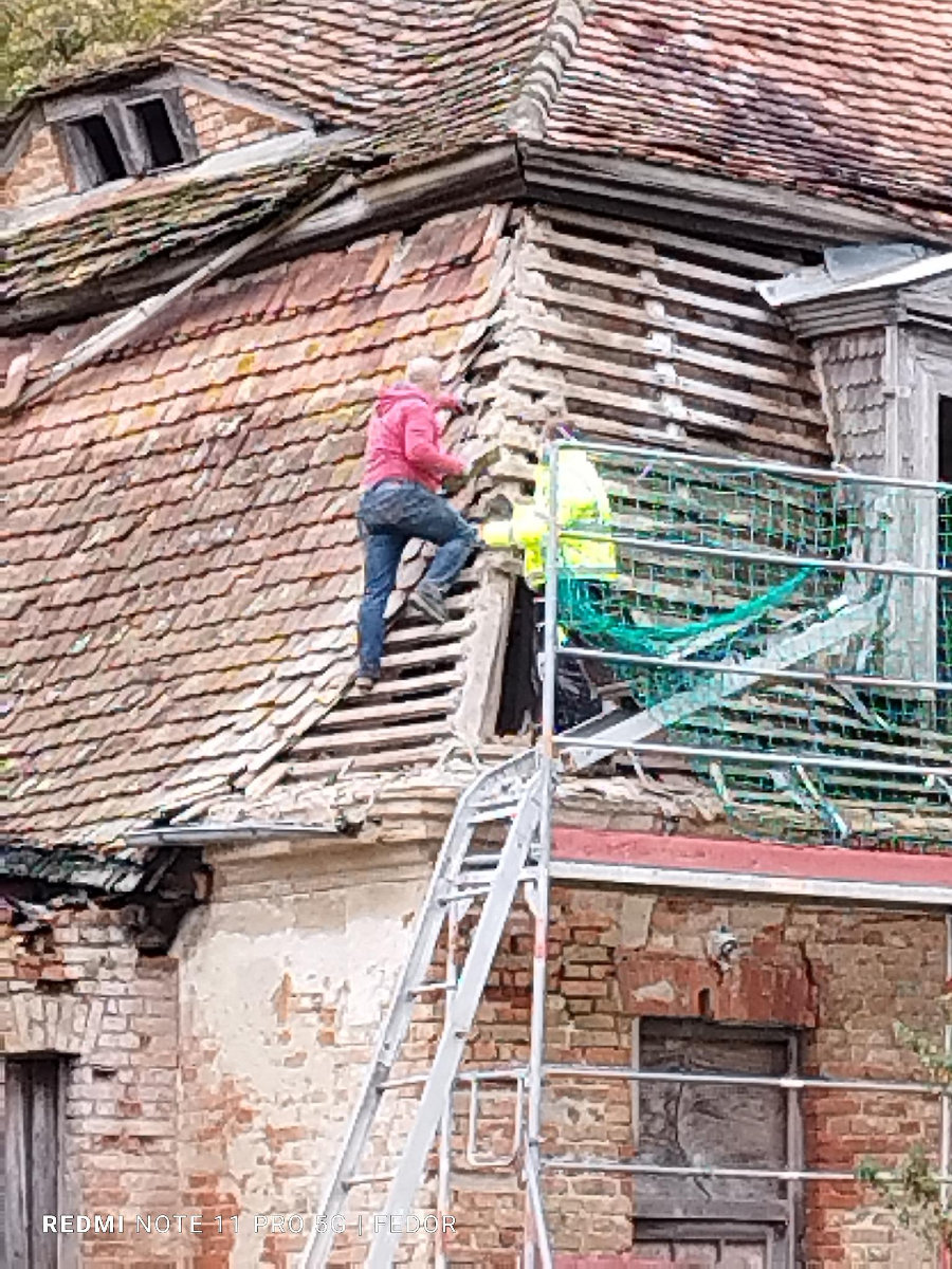 29. Oktober 2023 | Arbeitseinsatz | Zauberschönes Dargibell e.V.