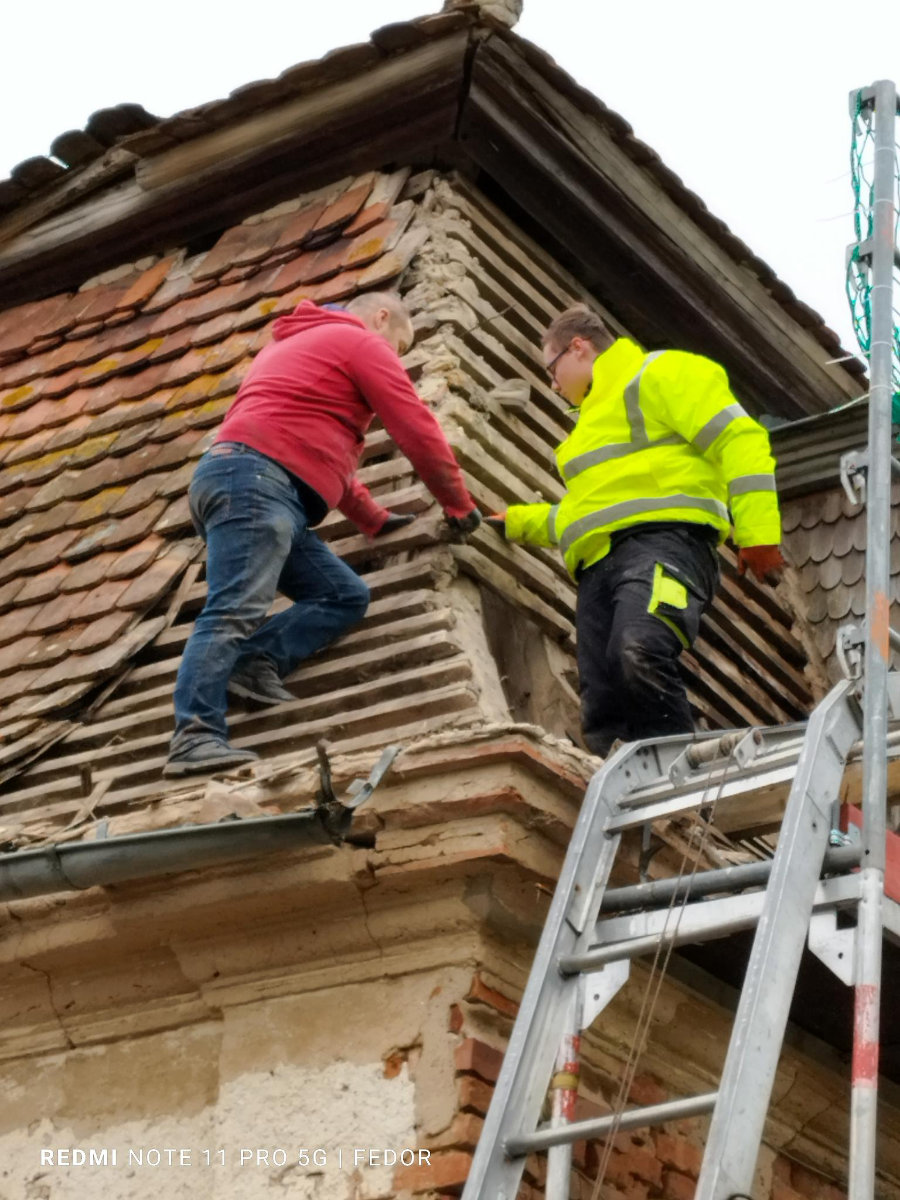 29. Oktober 2023 | Arbeitseinsatz | Zauberschönes Dargibell e.V.