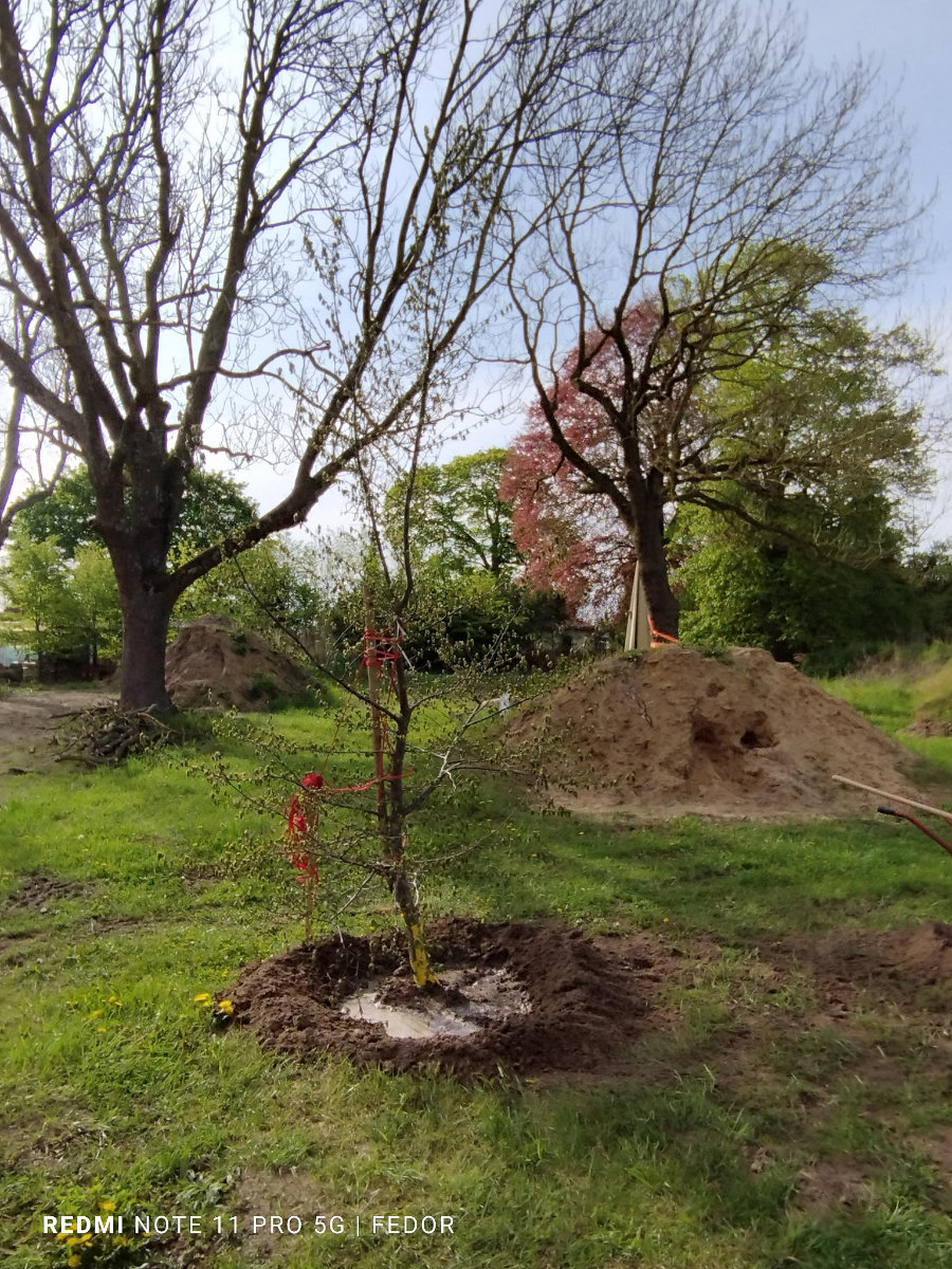 27. und 28. April 2024 | Arbeitseinsatz | Zauberschönes Dargibell e.V.