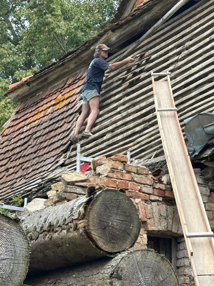 24. und 25. August 2024 | Arbeitseinsatz | Zauberschönes Dargibell e.V.