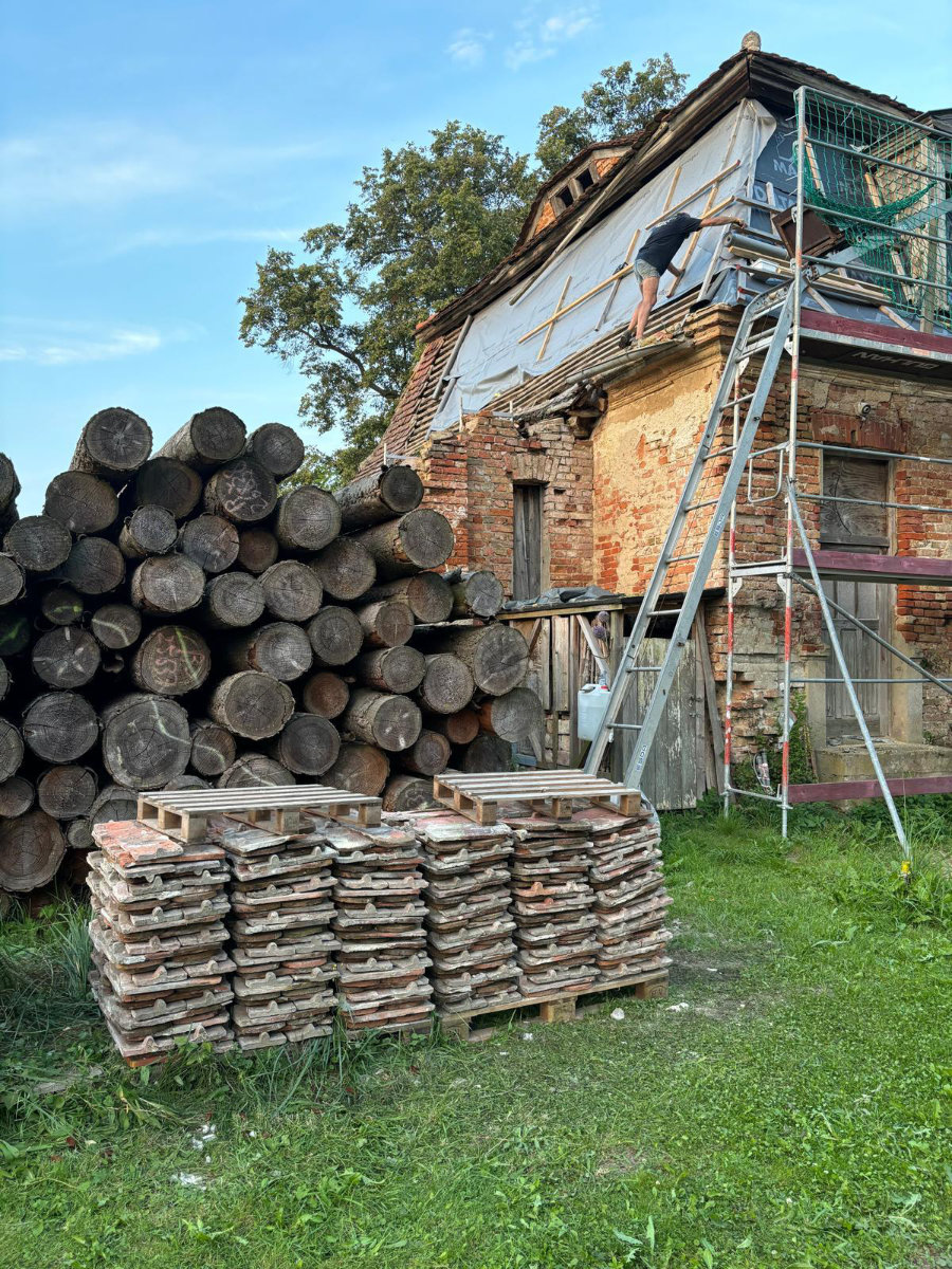 24. und 25. August 2024 | Arbeitseinsatz | Zauberschönes Dargibell e.V.