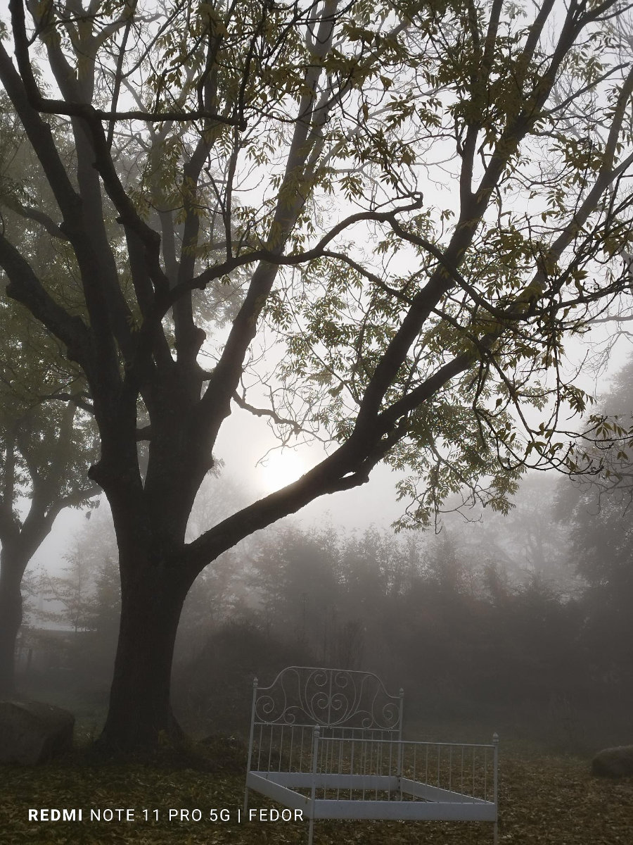 26. Oktober 2024 | Schlösserherbst in Vorpommern | Nebel & Spinngewebtes über Dargibell