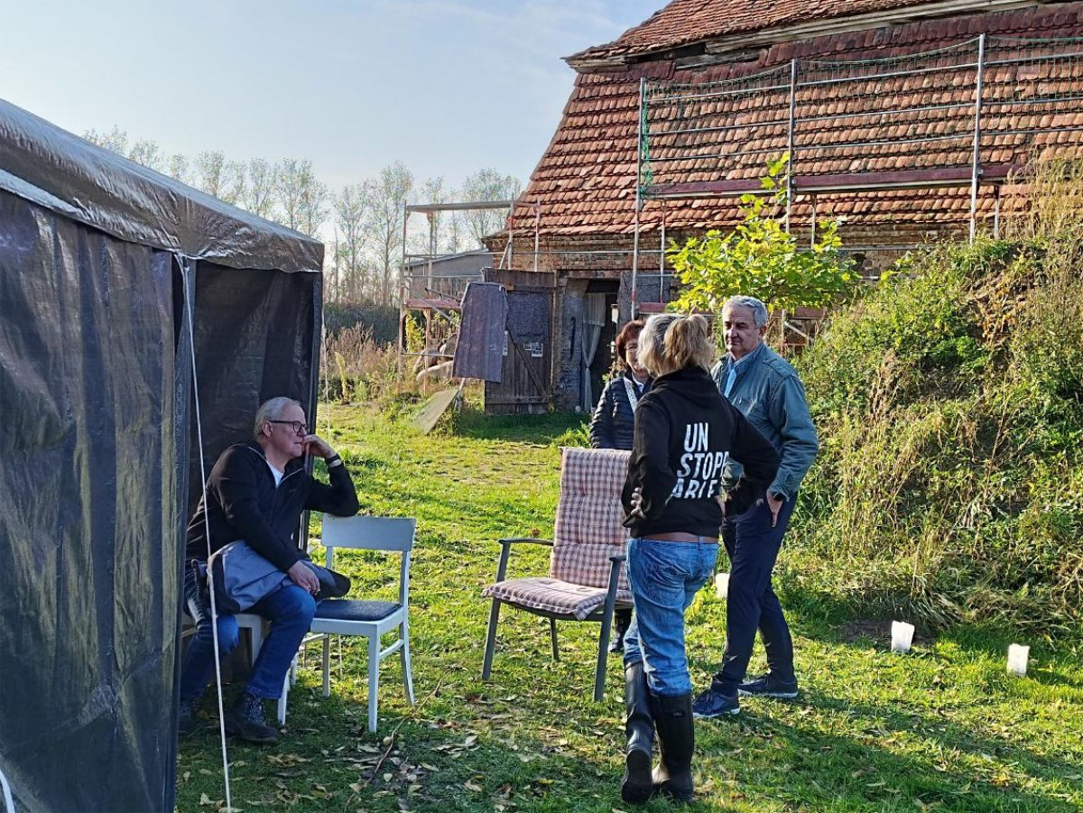 26. Oktober 2024 | Schlösserherbst in Vorpommern | Nebel & Spinngewebtes über Dargibell