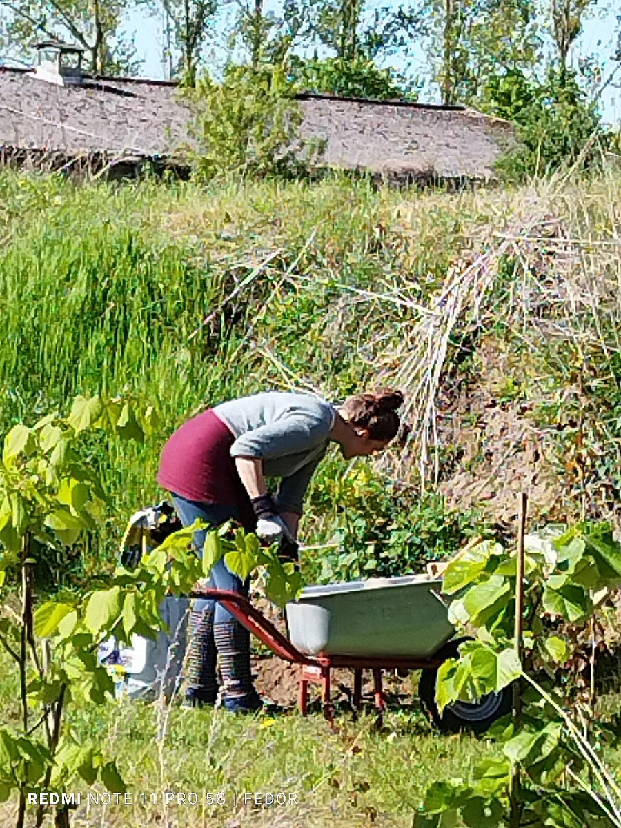 Foto: 26. und 27. April 2025 | Arbeitseinsatz | Zauberschönes Dargibell e.V.