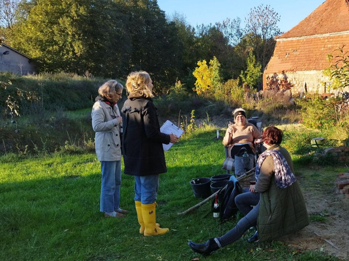 Bild: 251017_Projekt_Zauberschönes_Dargibell