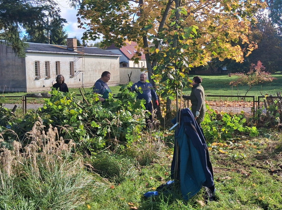 Bild: 251017_Projekt_Zauberschönes_Dargibell