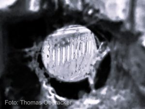 Neusehenlernen_Schluesse