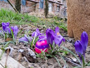 Ostern 2026
