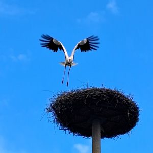 260531_Rauszeit